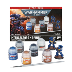 Warhammer 40K: Space Marine Intercessors + Paints