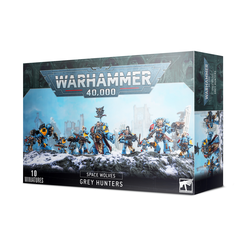 Space Wolves Grey Hunters (2020)