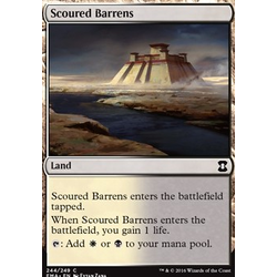 Magic löskort: Eternal Masters: Scoured Barrens