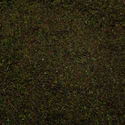 Base Ready: Pine Forest Ground Cover (250ml)