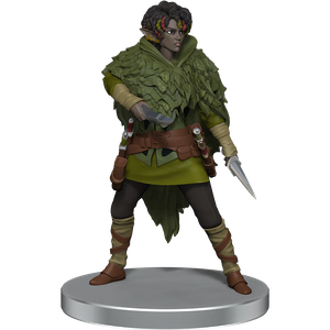 D&D Icons of the Realms: Dragonlance - Warrior set