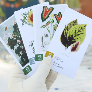 Botany (EN)