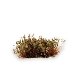Gamer's Grass: Swamp Shrubs