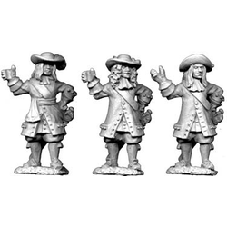 17th Century:  Officers / Standard-Bearers 3 (3)