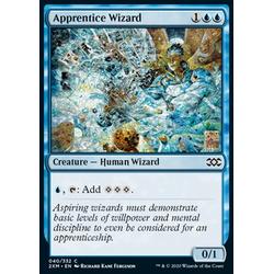 Magic löskort: Double Masters: Apprentice Wizard