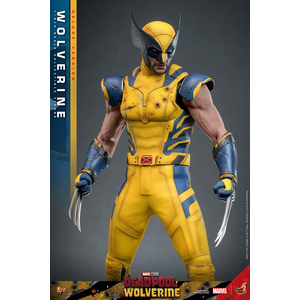Deadpool & Wolverine - Wolverine (Deluxe Version) MMS - 1/6