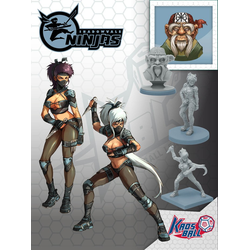 Kaosball: Shadowvale Ninjas