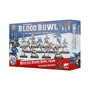 The Caledor Dragons - High Elf Blood Bowl Team