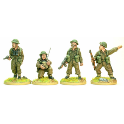 British and Commonwealth Infantry Platoon Command