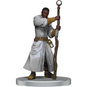 D&D Icons of the Realms: Dragonlance - Warrior set