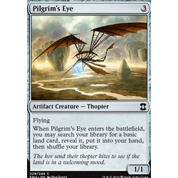 Magic löskort: Eternal Masters: Pilgrim's Eye