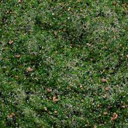 Base Ready: Taiga Hillside (250ml)