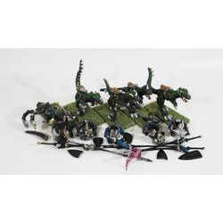 Dark Elves: Cold One Knights (5st, Metall)