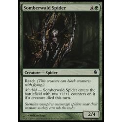 Magic löskort: Innistrad: Somberwald Spider
