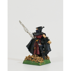 Dark Elves: Assassin (Metall)