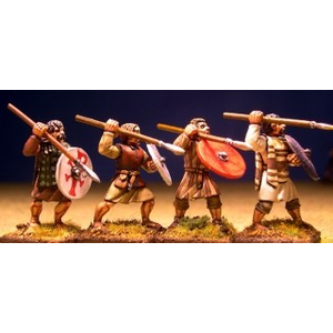 Welsh Priodaur (Warriors) (8)