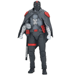 Teenage Mutant Ninja Turtles: The Last Ronin The Lost Years - Casey (Nightwatcher)
