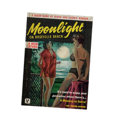 Moonlight on Roseville Beach RPG