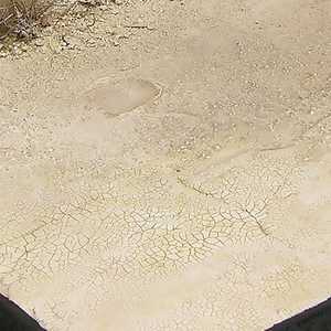 Light & Dry Crackle Effects (100ml)