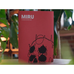 Miru I RPG: An Analog Adventure Game