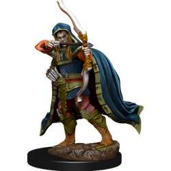 Icons of the Realms Premium Figures: Elf Rogue Male