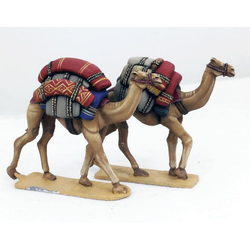 SAGA - Baggage Camels