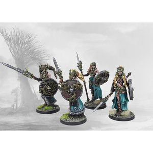 Conquest: Valkyries