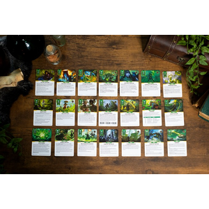Daggerheart RPG: Class Pack - Druid