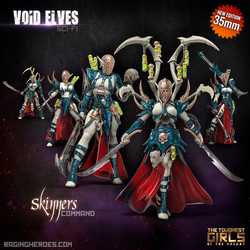 Void Elves: Skinners Command
