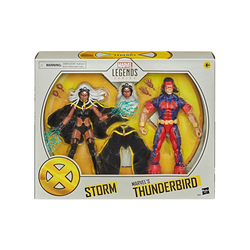 Storm & Marvel's Thunderbird Marvel Legends 2-Pack Actionfigurer