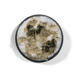 Liquid Pigments: Concrete (35ml)