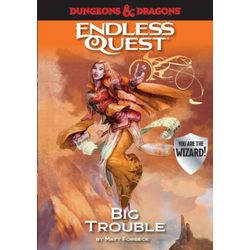 D&D Endless Quest: Big Trouble (softcover)