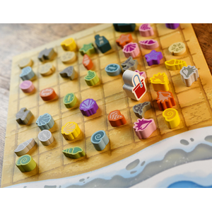 Seashells (EN/FR)