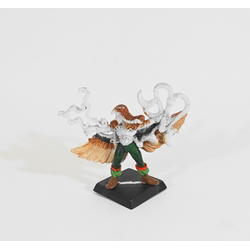 Wood Elves: Skaw the Falconeer (Metall, Inkomplett)