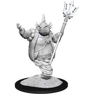 Nolzur's Marvelous Miniatures (unpainted): Marid