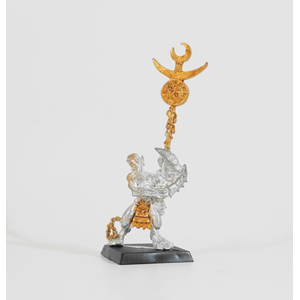 Daemons of Chaos: Daemonette Standard Bearer (Metall)
