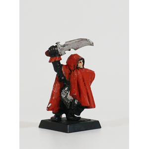 Dark Elves: Assassin (Metall)