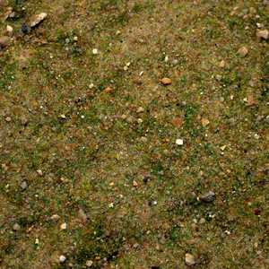 Base Ready: Fields Of New Zealand (250ml)