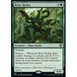 Magic löskort: Dominaria United: Briar Hydra