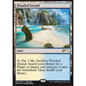 Magic löskort: DCI Promo: Flooded Strand (Foil)