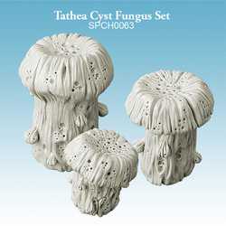 Spellcrow: Tathea Cyst Fungus Set