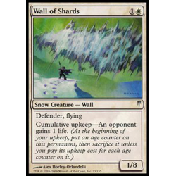 Magic löskort: Coldsnap: Wall of Shards