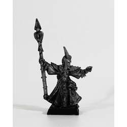 Dark Elves: Sorcerer (Metall)