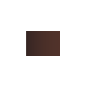Vallejo Xpress Color: Copper Brown (18ml)