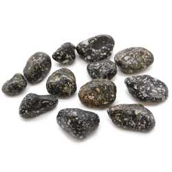 Gaming Stones: Medium African Tumble Stones - Guinea Fowl (12)