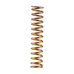 AIR VALVE SPRING (CM)