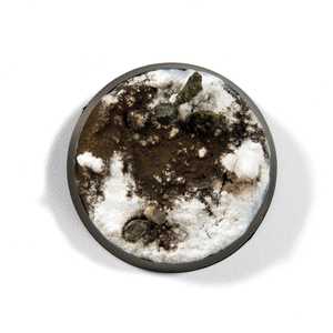 Liquid Pigments: Dark Earth (35ml)