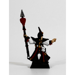 Dark Elves: Sorcerer (Metall)