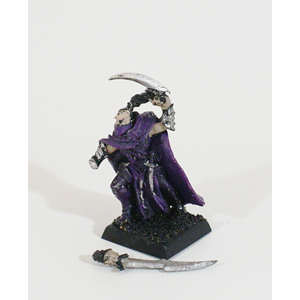 Dark Elves: Shadowblade, Master of Assassins (Metall)