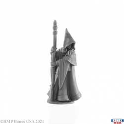 Elf Wizard: Anirion